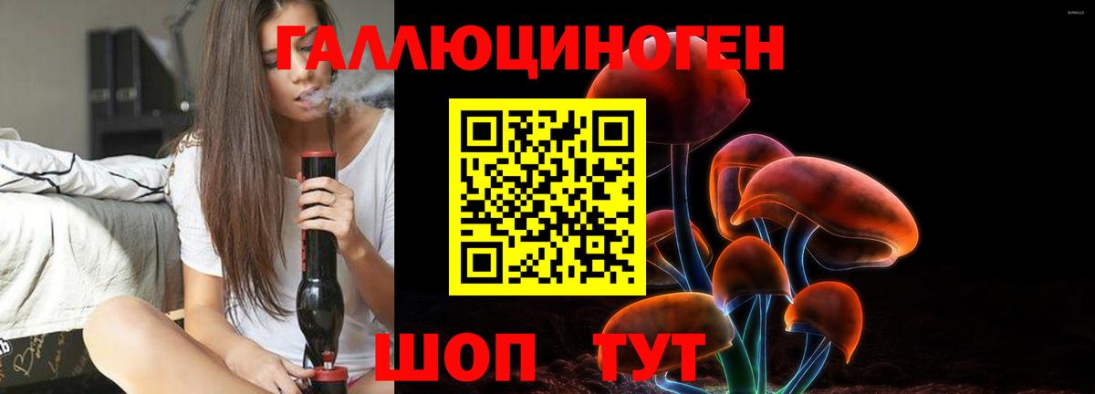 Псилоцибиновые грибы Psilocybine cubensis  где купить наркоту  Касимов  Вход с VPN 